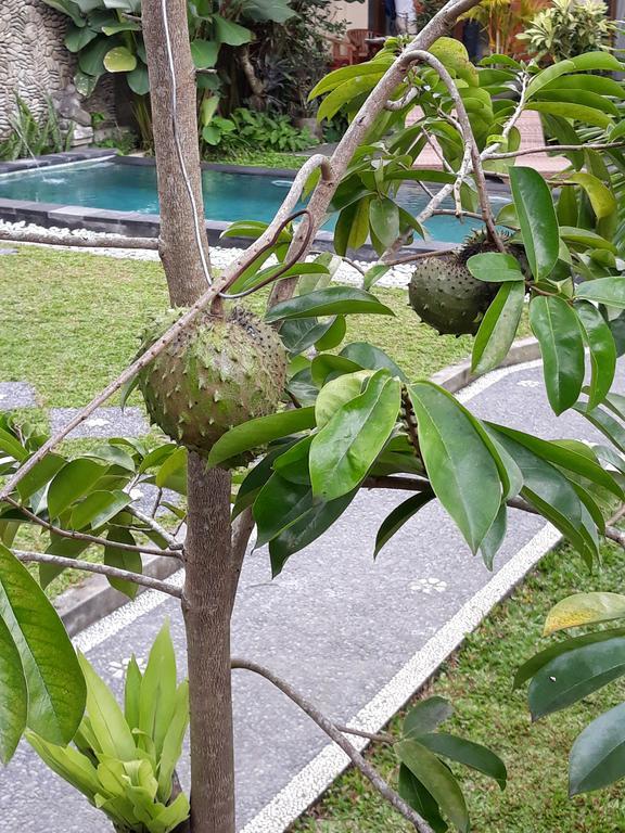 Umah Dangin Guest House Ubud Exterior foto